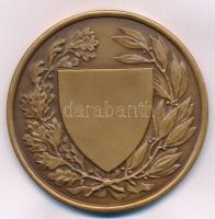 Berán Lajos (1882-1943) 1926. "Országos Testnevelési Tanács" Br érem (60mm) T:1