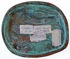 Duray Tibor (1912-1988) 1983. "Tisztálkodó" Br emlékplakett (107x129mm) T:2