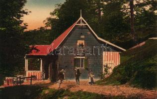 Arad Gaina-hill Czárán Gyula tourist-house