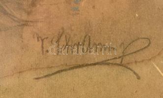 Schramm Viktor (1865-1929): Női portré. Vegyes technika (karcolásokkal), papír, jelzett, üvegezett k...