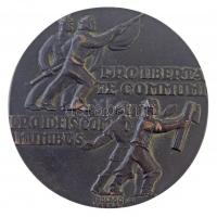 Boldogfai Farkas Sándor (1907-1970) 1938. "Tüköry Lajos" Br emlékplakett (378,59g/90mm) T:...