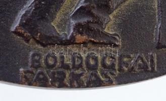 Boldogfai Farkas Sándor (1907-1970) 1938. "Tüköry Lajos" Br emlékplakett (378,59g/90mm) T:...