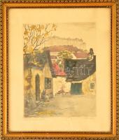 Paulovits Pál (1892-1975) Tabán, utolsó levelek. Színezett rézkarc, papír, jelzett, üvegezett keretben, 29×22 cm