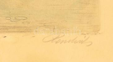 Paulovits Pál (1892-1975) Tabán, utolsó levelek. Színezett rézkarc, papír, jelzett, üvegezett keretb...