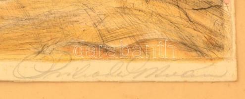 Prihoda István (1891-1956):Fésülködő lány. Színezett rézkarc, papír, jelzett, üvegezett keretben, 34...