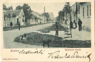 1901 Zombor, Sombor; Szelencsei részlet. Kiadja Bruck Sándor / street view (EK)