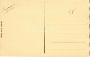 Temesvár, Timisoara; Lonovits utca. Uhrmann Henrik kiadása / Lonovitsgasse / street view - képeslapf...