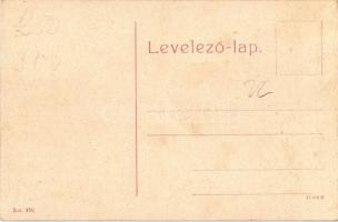 Máramarossziget, Sighetu Marmatiei; Líceum. W. L. (?) No. 250. / lyceum, school