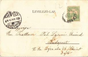 1902 Erdészvölgy, Kuzij (Lonka, Luh; Tisza-völgy, Máramaros); Rudolf trónörökös vadászkastélya a Tis...