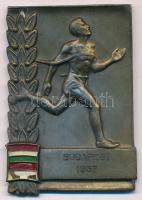 1957. Futó témájú, Br sport emlékplakett, festett magyar és lengyel zászlókkal, gravírozva Budapest 1957 (67x46mm) T:1-,2 kopott festés