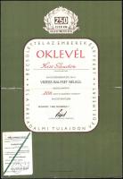 1982-1984 250 000 és 500 000 balesetmentes kilométer után adott oklevél és igazolvány