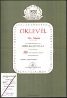 1982-1984 250 000 és 500 000 balesetmentes kilométer után adott oklevél és igazolvány