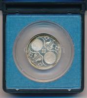 1980. Jelzett ezüst naptárérem "Állami pénzverő" feliratú műanyag tokban (0.835/24mm) T:1 ...