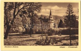 Beszterce, Bistritz, Bistrita; Sétatér / promenade