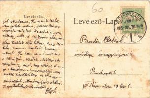 1908 Vidor Pálné. Diana krém és szappan. Készíti Erényi Béla gyógyszerész. Budapest VII. Károly körú...