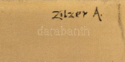 Zilzer Antal (1860-1921): Öregasszony portré. Olaj, vászon, jelzett, keretben, 45×35 cm