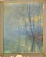 Mednyánszky jelzéssel: Vízparti fák. Olaj, vászon (hibás), keretben, 65×50 cm