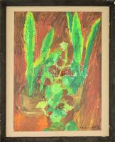 Schéner jelzéssel: Szobanövények. Olaj, vászon-karton, üvegezett keretben, 47×34 cm