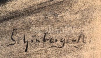 Schönberger jelzéssel: Koponya. Szén, papír, 60×43 cm