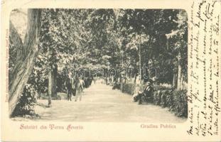 1902 Turnu Severin, Szörényvár; Gradina Publica / park (EK)