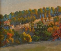 Braun Károly (?-?): Zugliget 1921. Olaj, vászon-karton, jelzett, keretben, 27×35 cm