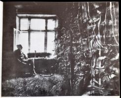 1972-1988 Ember és környezet. Mai svéd képzőművészeti kiállítás. Bp., 1972., Ernst Múzeum.+ Finn for...