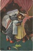 Cats. In Kittendom Boo-oo-o, Ive no dolly now. Raphael Tuck & Sons Oilette Postcard 4091. s: Arthur Thiele (EK)