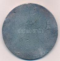 1916. "Báró Hazai Samu Magyar Királyi Honvédelmi Minister 1914- 1915-1916" öntött, egyolda...