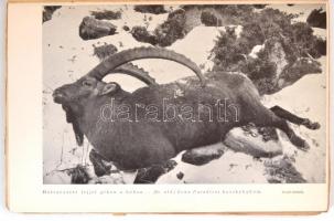 Gróf Széchenyi Zsigmond: Két kecske. DEDIKÁLT! Bp., 1942, Dr. Vajna és Bokor. Első kiadás. Kiadói pa...