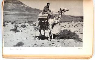 Gróf Széchenyi Zsigmond: Két kecske. DEDIKÁLT! Bp., 1942, Dr. Vajna és Bokor. Első kiadás. Kiadói pa...