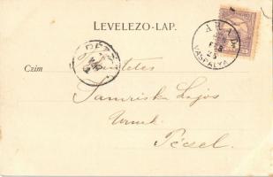 1900 Arad, Városháza. Nachbargauer János kiadása / town hall (EK)