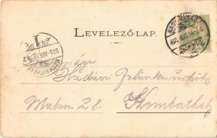 1905 Nagyvárad, Oradea; Kereskedelmi csarnok, Nádor Henrik, Silberstein, Jung Ferenc üzlete. I. D. K...