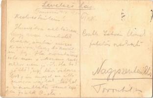 Temesvár, Timisoara; Hunyady bástya / Hunyady Bastei / bastion, castle (Rb)