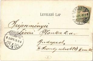 1905 Balassagyarmat, Scitovszky út, villa. Wertheimer Zsigmond kiadása (EK)