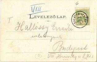 1904 Balatonberény, Fő utca, Római katolikus templom. Neumark Adolf kiadása