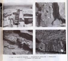 Siófok. Várostörténeti tanulmányok. Szerk.: Kanyar József. Kaposvár, 1989, Somogy Megyei Nyomdaipari...