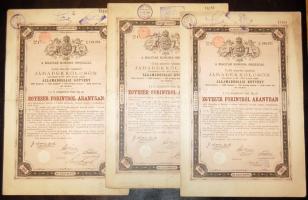 1881. 1000Ft járadékkölcsön (10x) bennük 2klf német szignettával (klf színvariánsokban) + cseh érvényesítő bélyegzővel