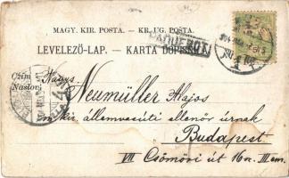 1904 Novi Vinodolski, Novoga; Hotel Lisanj, Kupaliste, Otok Sv. Marino, Hotel Slavulj, Kula Frankopa...