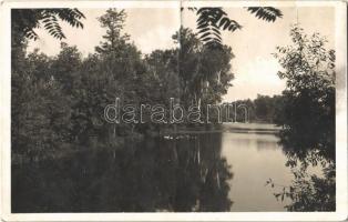 1941 Dömsöd, Szigetrészlet. Kónya Miklós kiadása