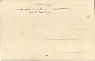Osztrák-magyar topedóhajó (torpedóromboló és torpedónaszád közötti hajótípus / K.u.K. Kriegsmarine /...