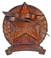 ~1970. Határőr sapkajelvény, zöld zománccal T:1-