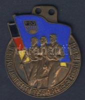 NDK 1954. "Szabad Német Ifjúság-Országos találkozó" zománcozott emlékérem T:2