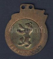 NDK 1954. "Szabad Német Ifjúság-Országos találkozó" zománcozott emlékérem T:2