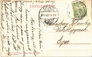 1907 Bártfa, Bártfafürdő, Bardejovské Kúpele, Bardiov, Bardejov;  Erzsébet királyné gyógyház, Szegő ...