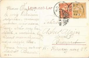 1907 Dobsina, Dobschau; látkép templomokkal. W. L. 156. / general view with churches