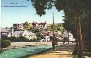 Bressanone, Brixen (Südtirol); Dr. Guggenbergs Katlwasserheilanstalt / spa sanatorium