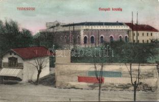 Temesvár castle (fl)