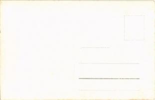 Turócbeszterce, Bisztricska, Bystricka; Vila p. Presidenta / Masaryk villa / villa, Masaryk's r...