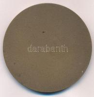 Garamkeszi János (1936-2014) DN "Ybl Miklós Építőipari Műszaki Főiskola" Br emlékérem (60m...