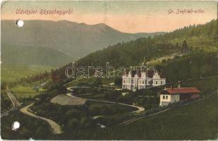 1909 Rózsahegy, Ruzomberok; Gr. Seefried villa. Kohn Adolf kiadása / villa (lyukasztott / punched holes)